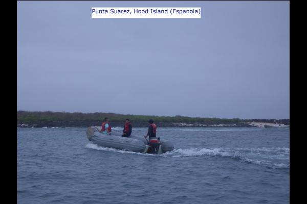 Punta Suarez, Hood Island